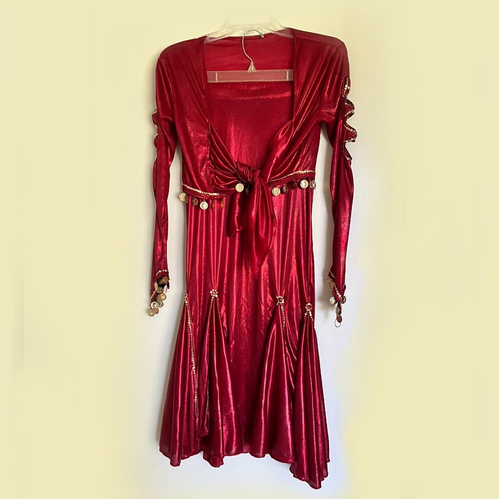 💥SALE💥 Belly Dancer Performer Costume
